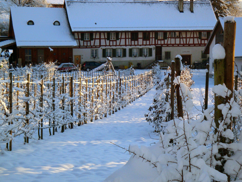Obere Mühle mit Schnee